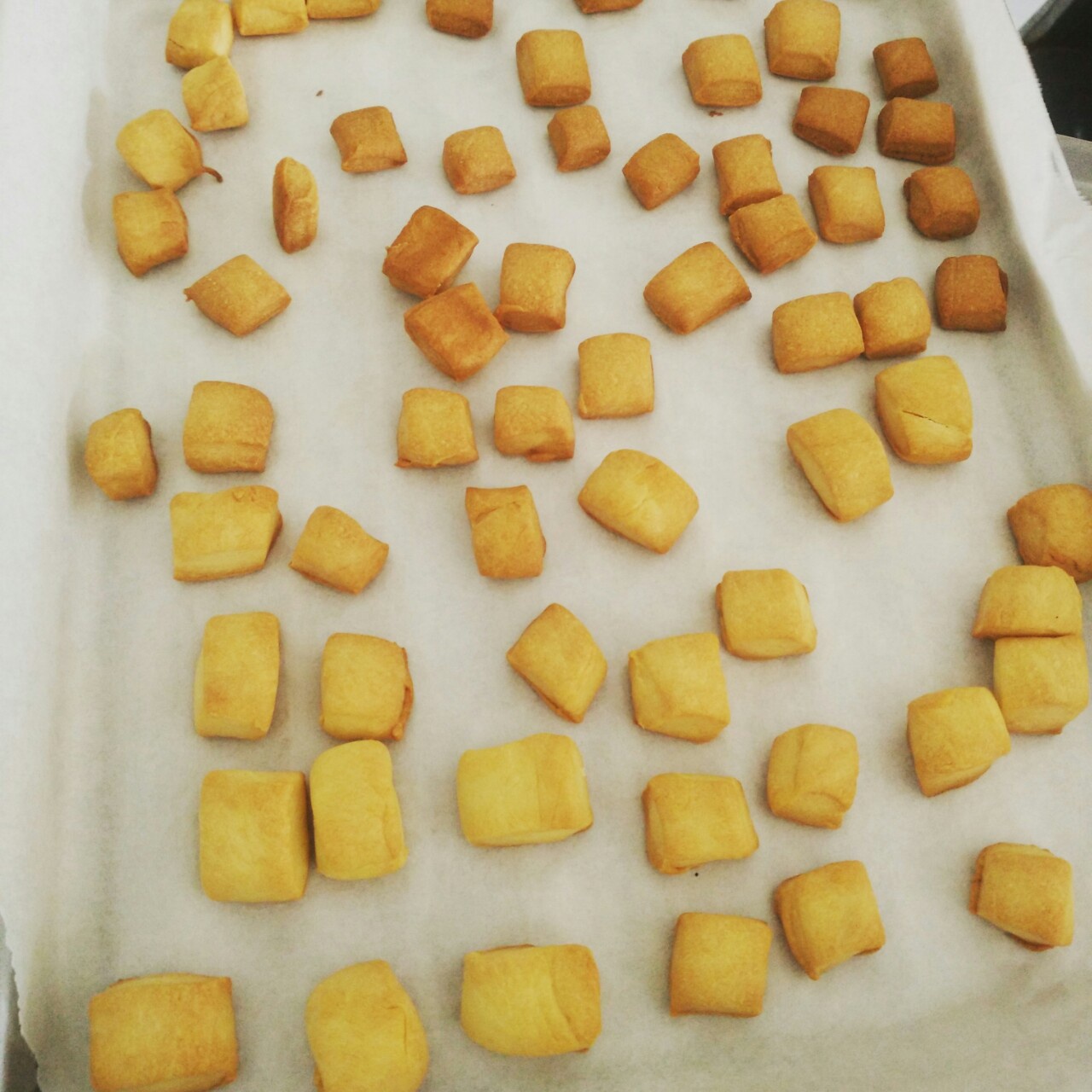 小石头饼干。