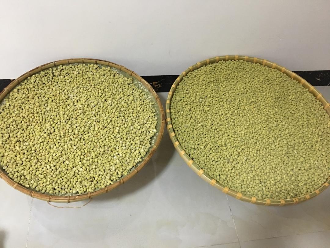 自制酱油/酿酱油