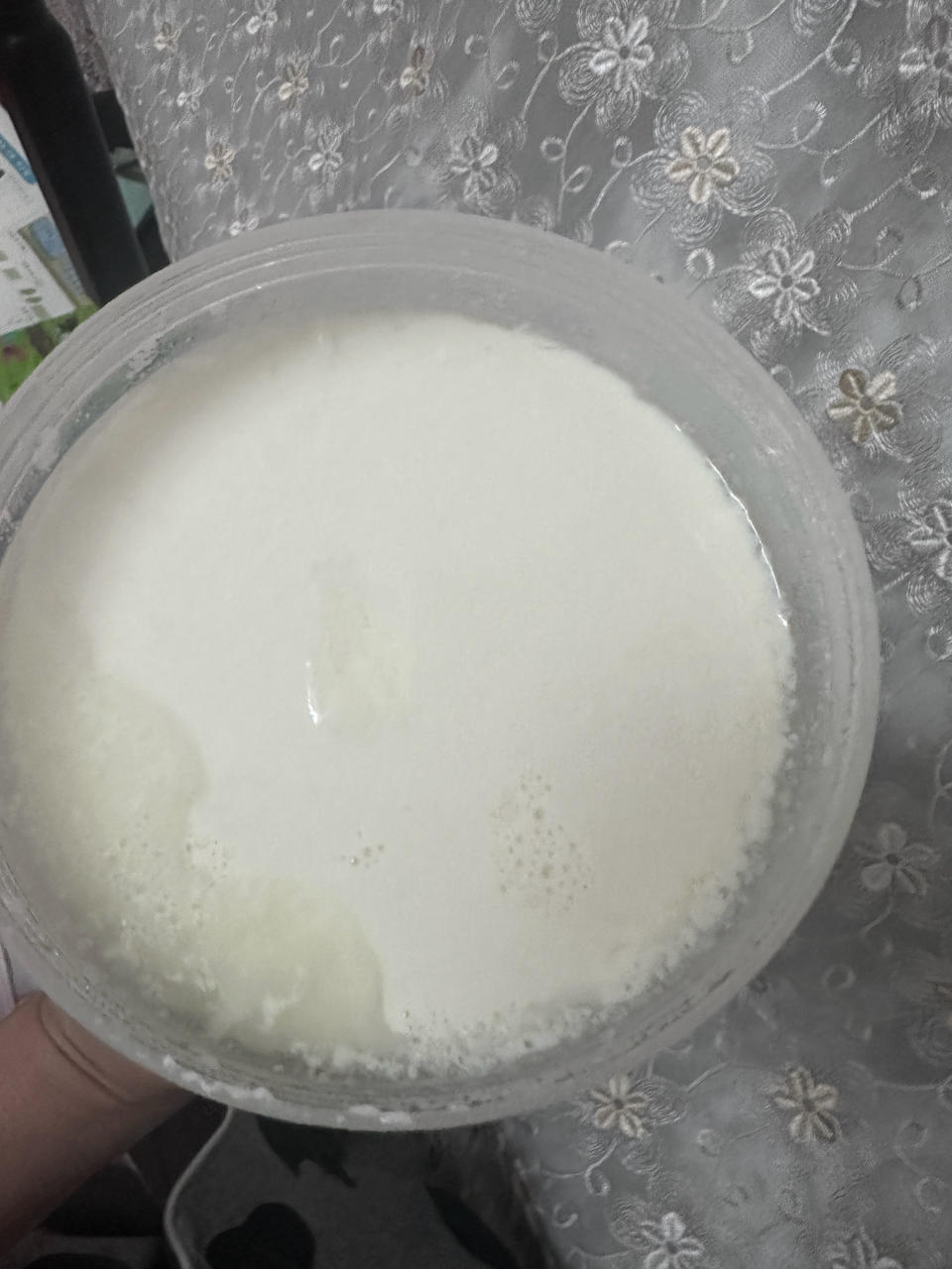自制酸奶，不需菌粉/酸奶机/烤箱/电饭锅，一条毛巾就好