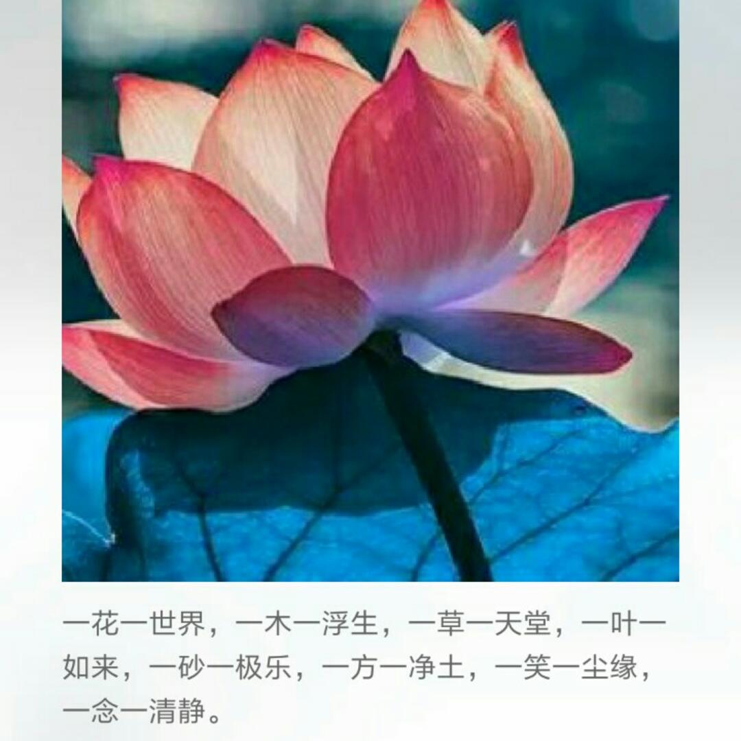 居之屋4279_f8qw