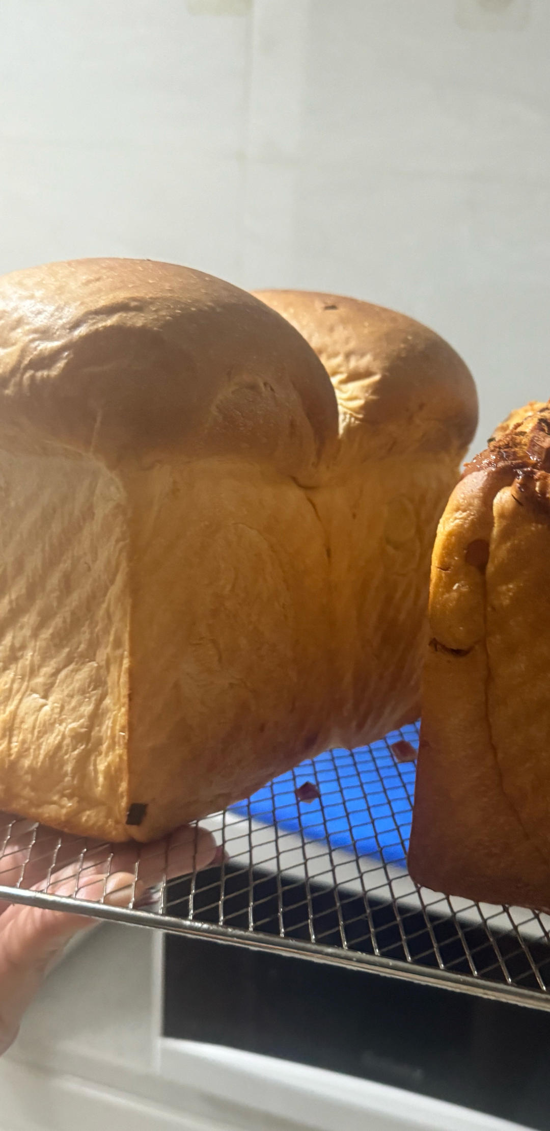 牧场鲜奶吐司🍞｜一次发酵｜吴克己老师经典吐司