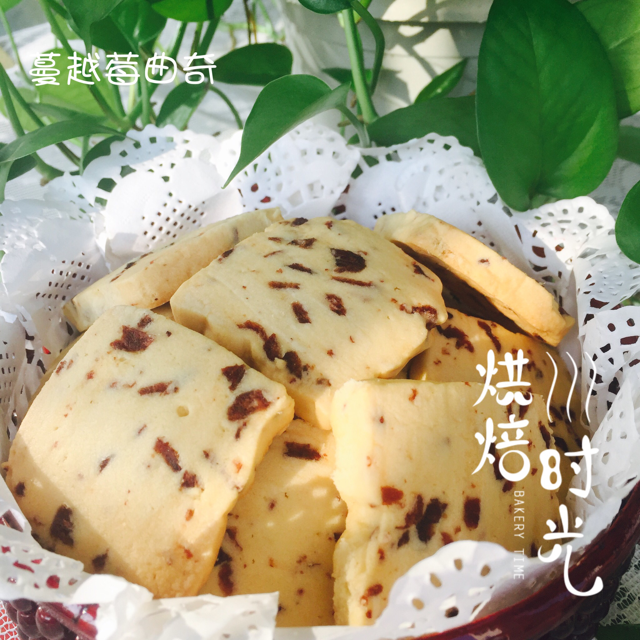 【球儿の】蔓越梅饼干