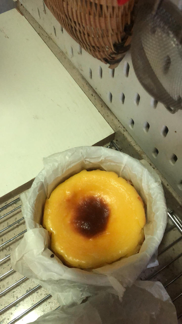 超爱的巴斯克 4寸