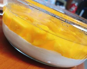 芒果椰汁糕（白凉粉版）的做法 步骤5