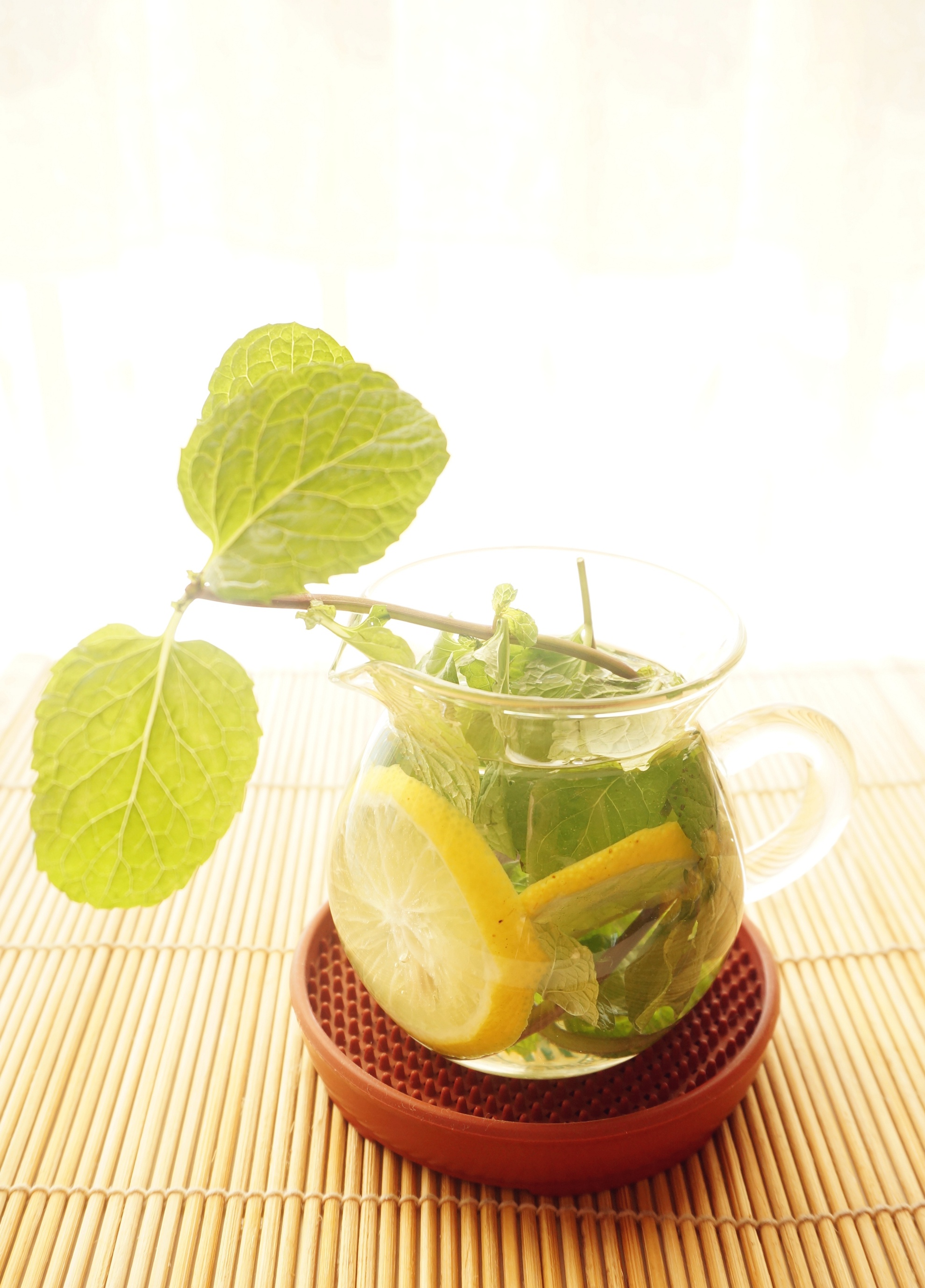 鸡蛋花蒋蒋鸡蛋花做的薄荷柠檬蜂蜜水