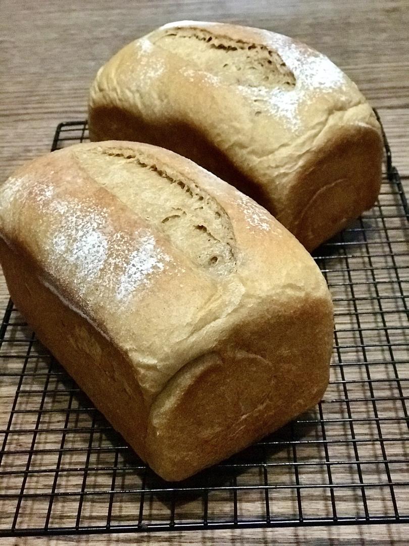 超柔软｜65度汤种｜全麦吐司｜目前为止吃过最好吃的全麦吐司没有之一