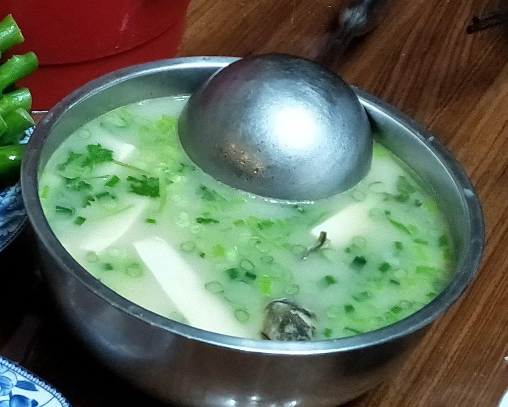 黄辣丁豆腐浓汤