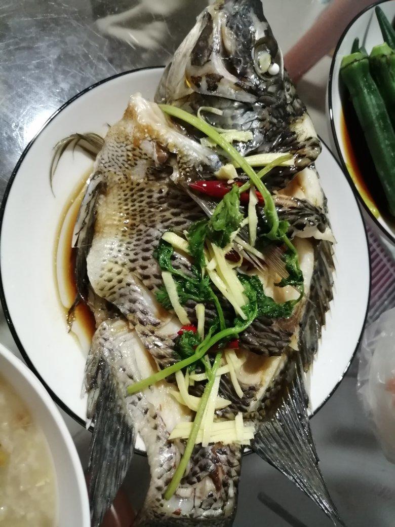 过年餐桌上少不了的菜——清蒸罗非鱼