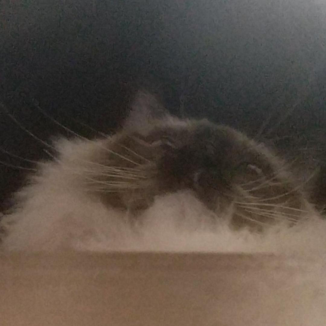 Loooooongman