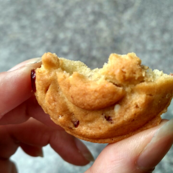蔓越莓干（葡萄干）桃酥