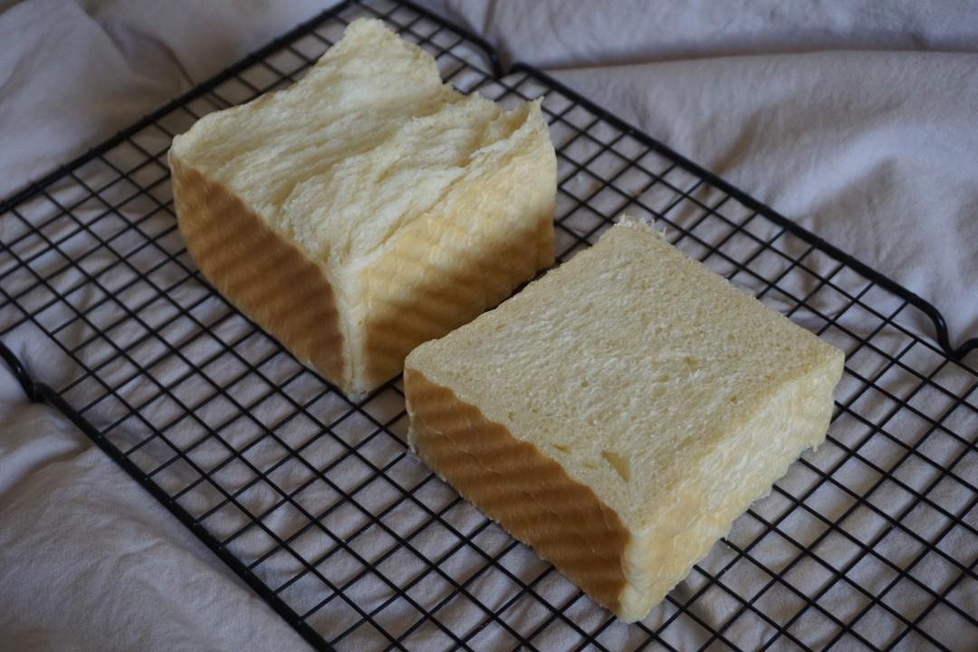 波兰种——最详细的状态攻略