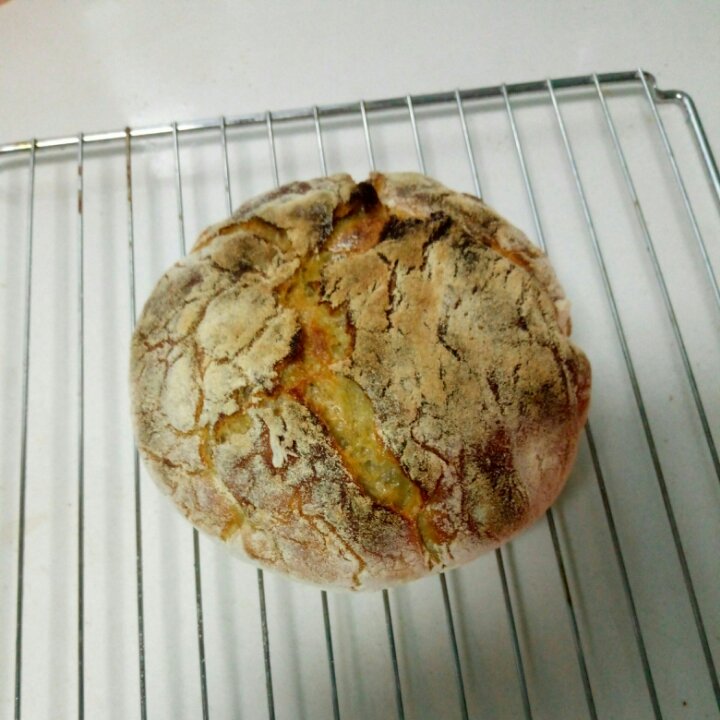 欧包/乡村面包-无油不用揉 No Knead Bread