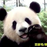 C嘉BB