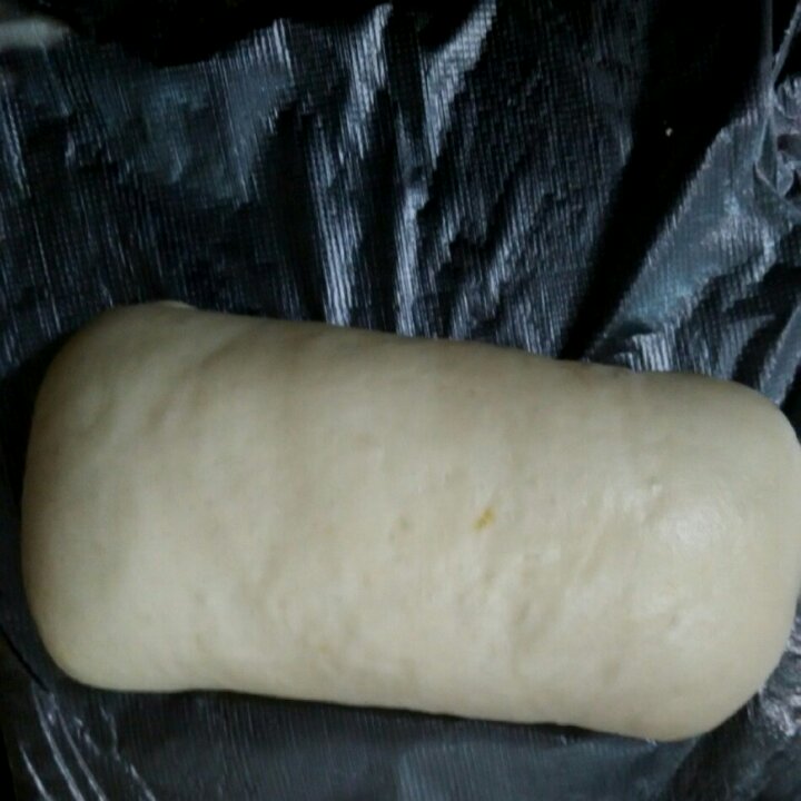 酱香肉龙