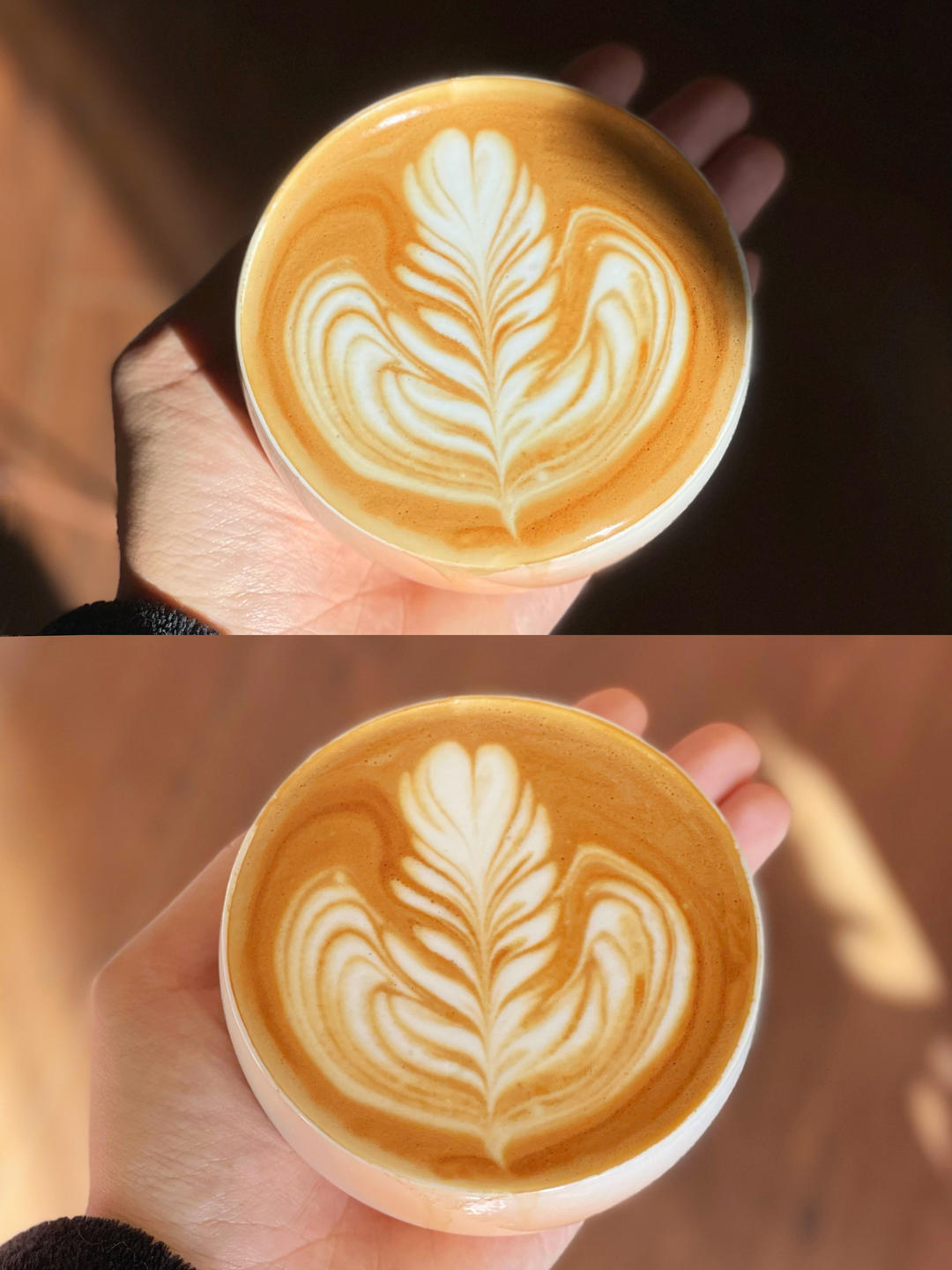 卓宝的自学拉花记录📝