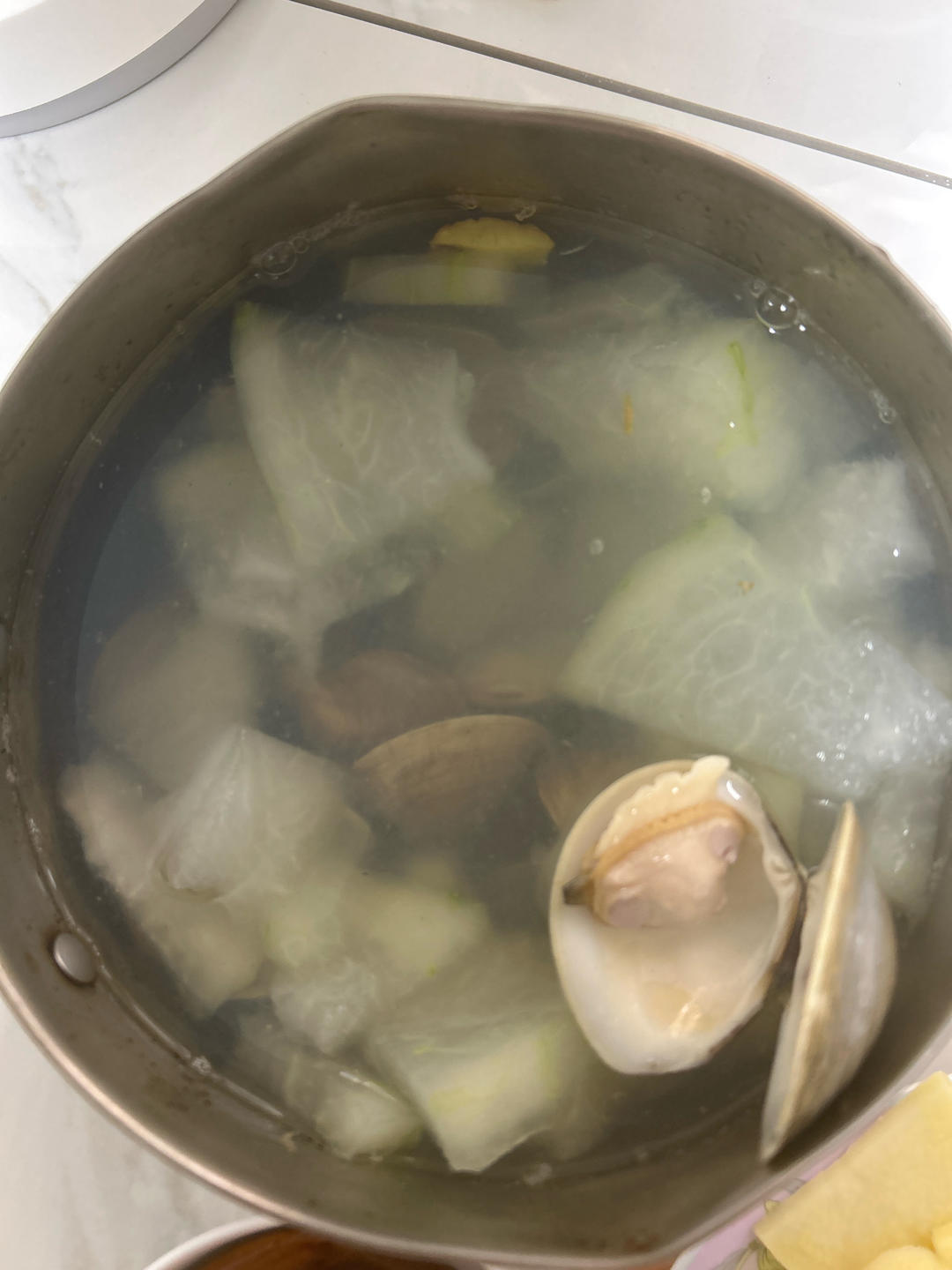 白贝冬瓜鲜味汤