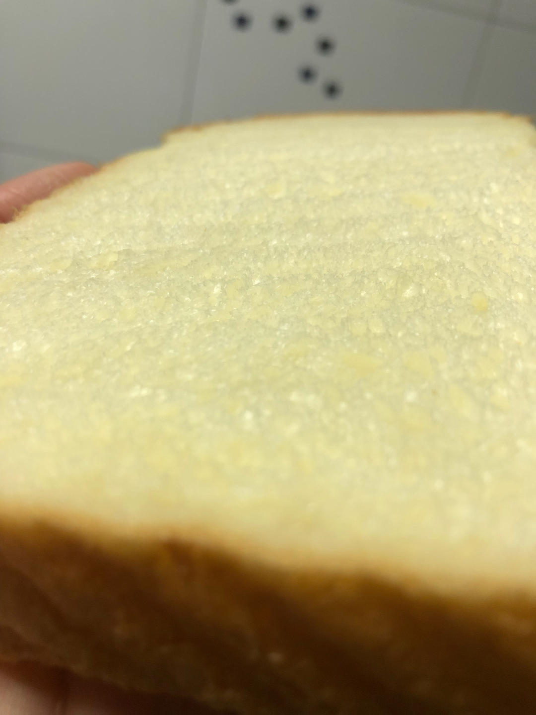 蛋白炼乳小吐司