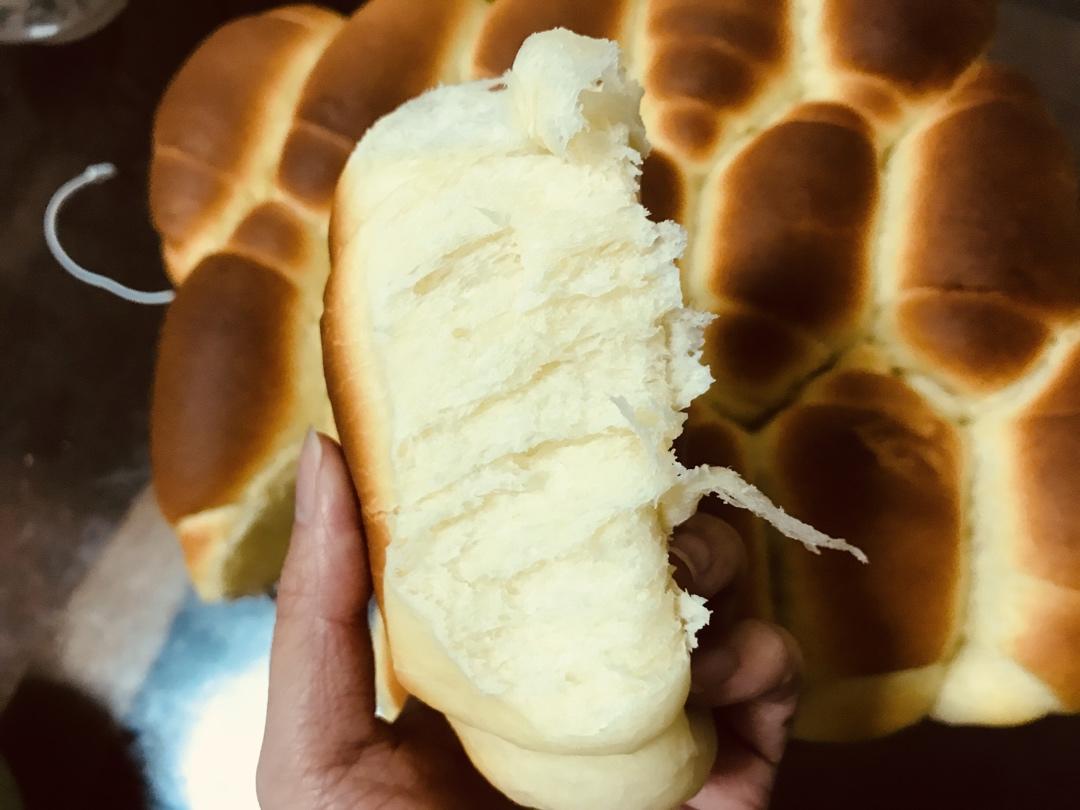 “揪揪家族”之酒种红豆小揪揪