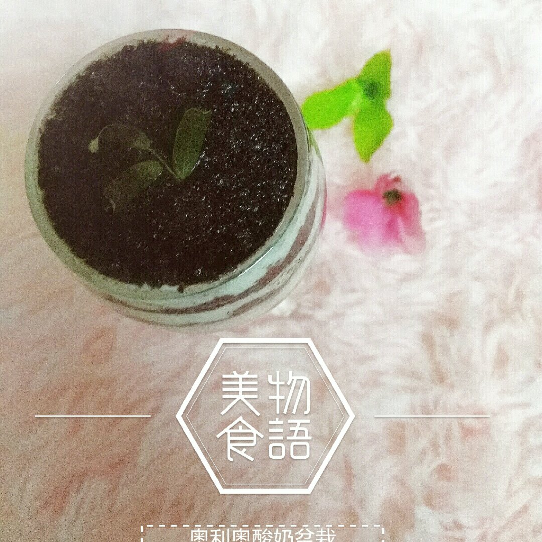 奥利奥酸奶盆栽