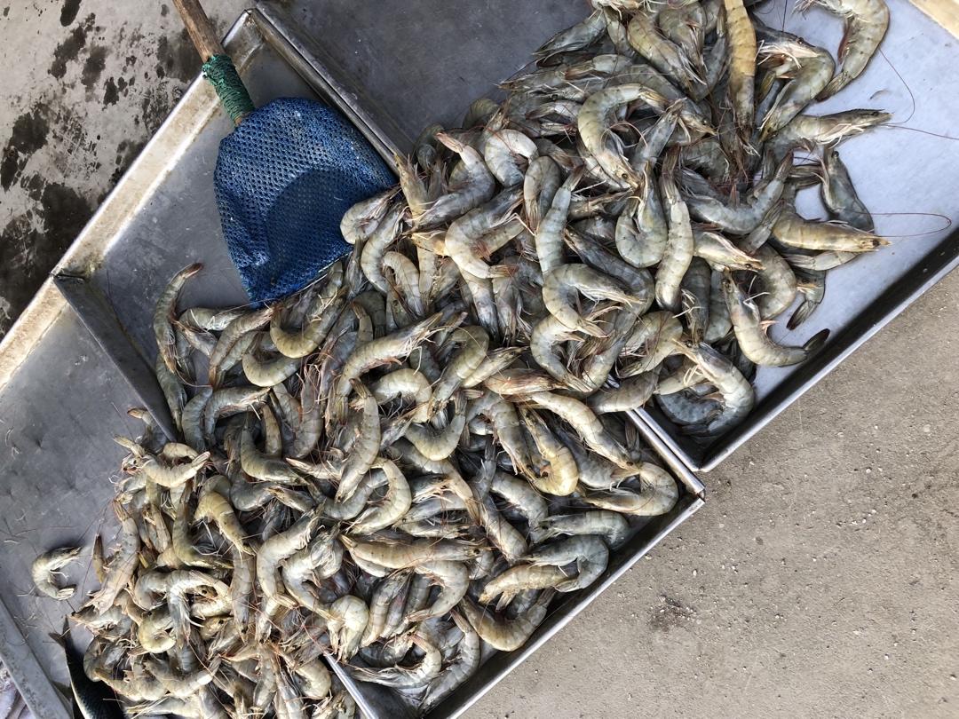 记录我做过的海鲜们