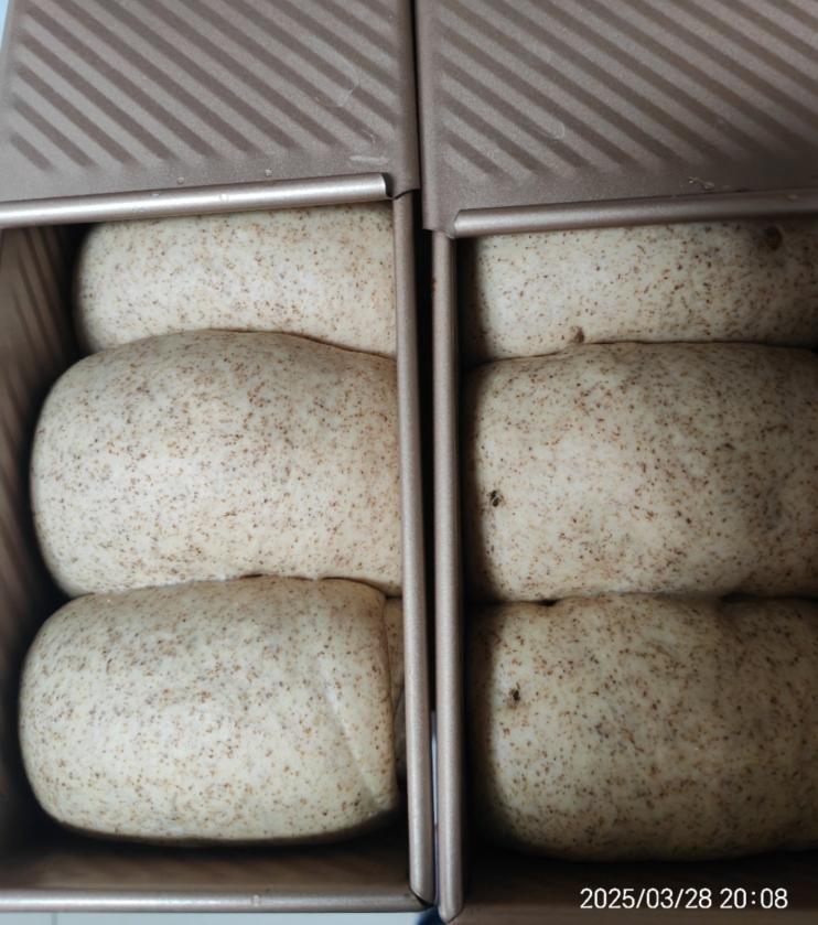 全麦奶油吐司（一次发酵）