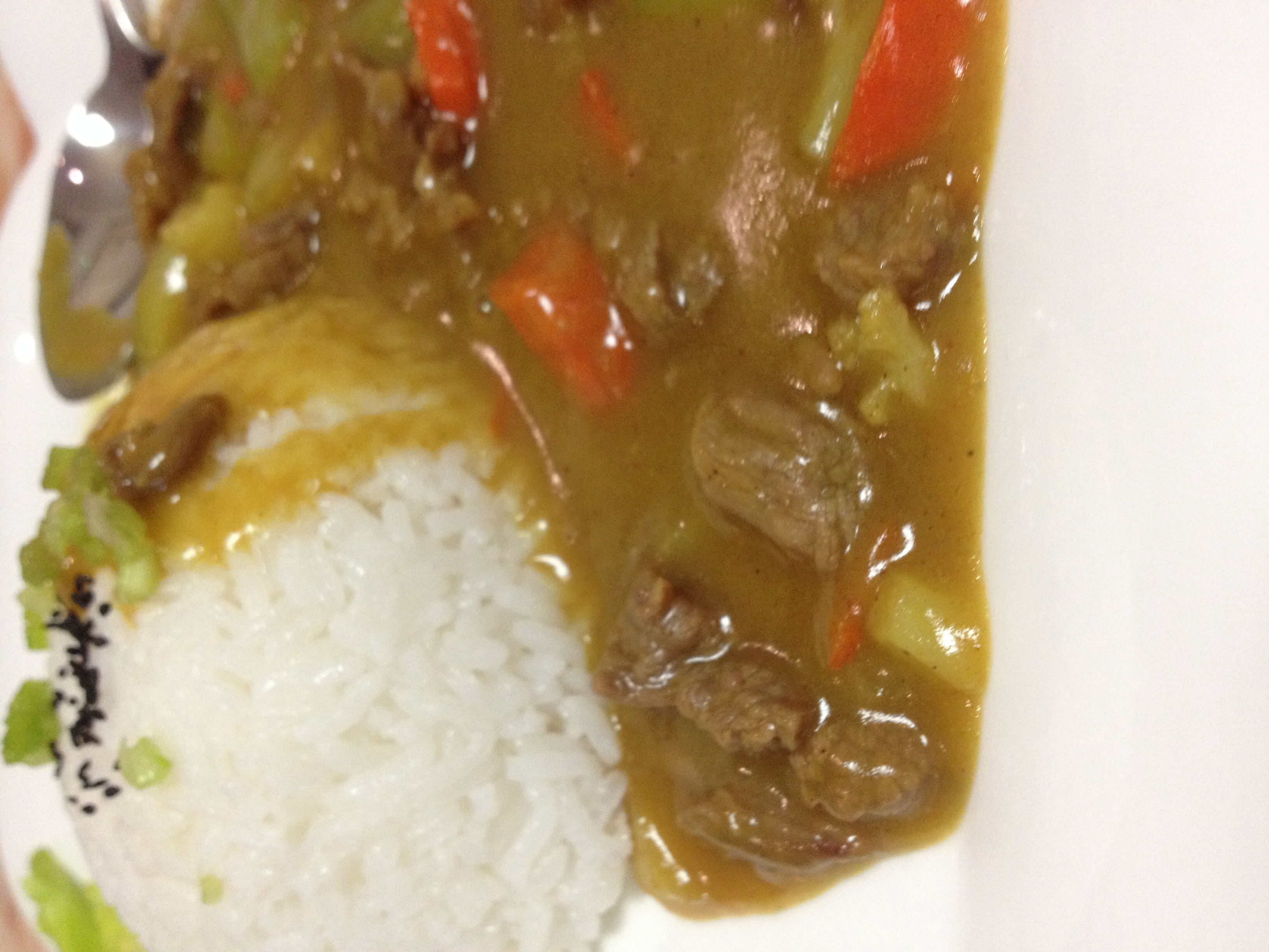 牛肉咖喱饭