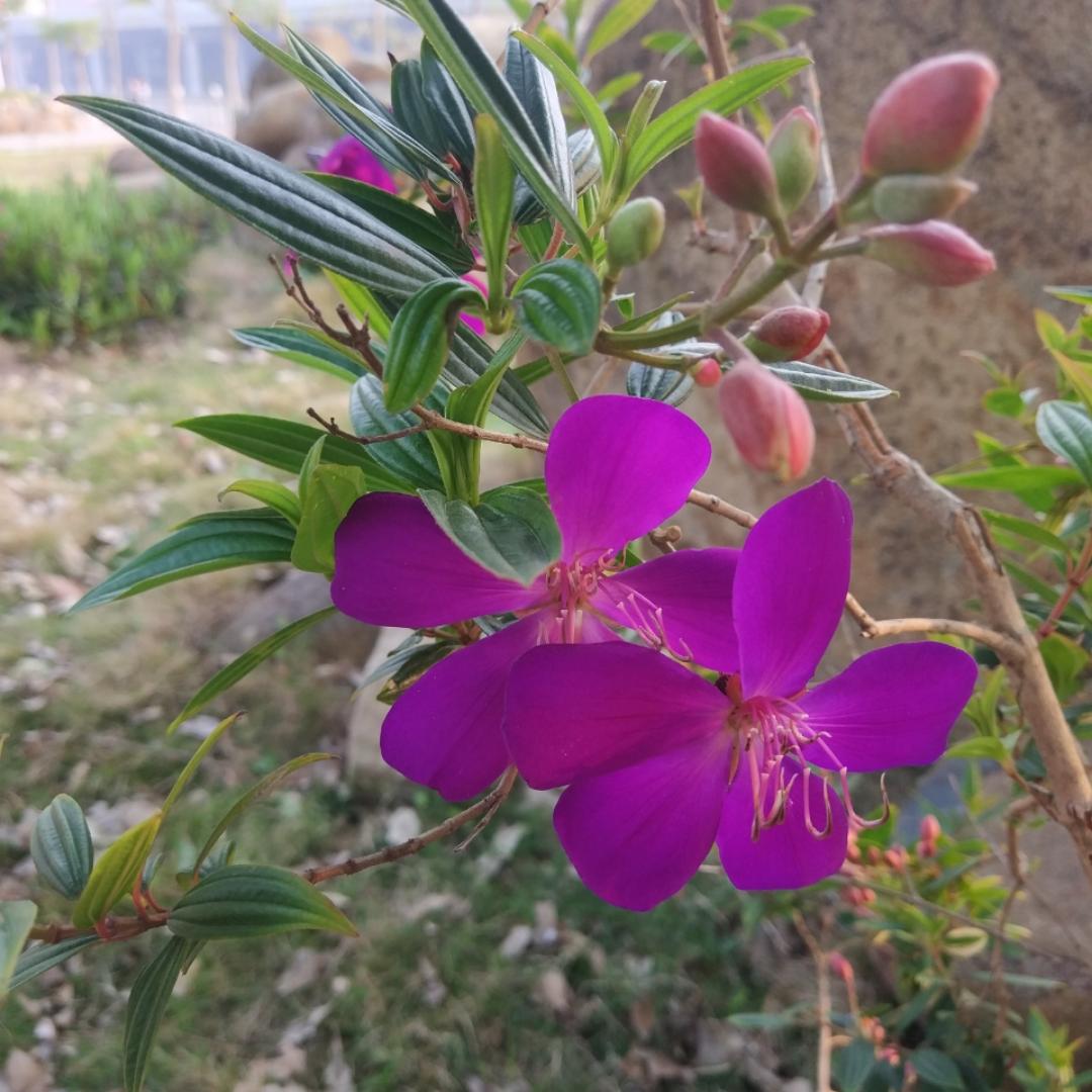 能吃能喝就是福哇的厨房