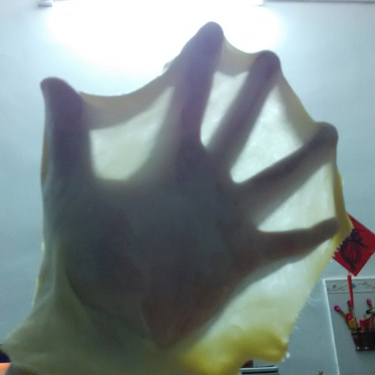 肠仔包---QQ软软的早餐包