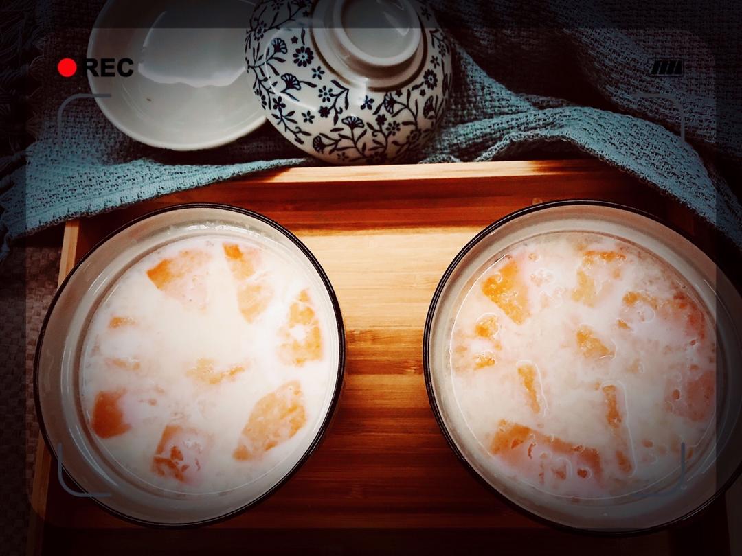 木瓜牛奶炖燕窝