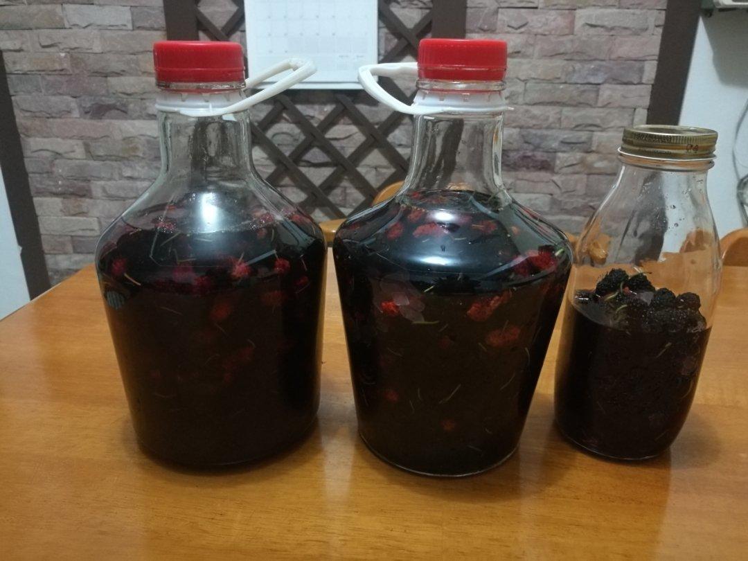 桑葚酒