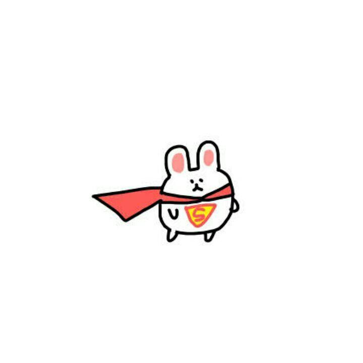 在做饭的胖兔砸