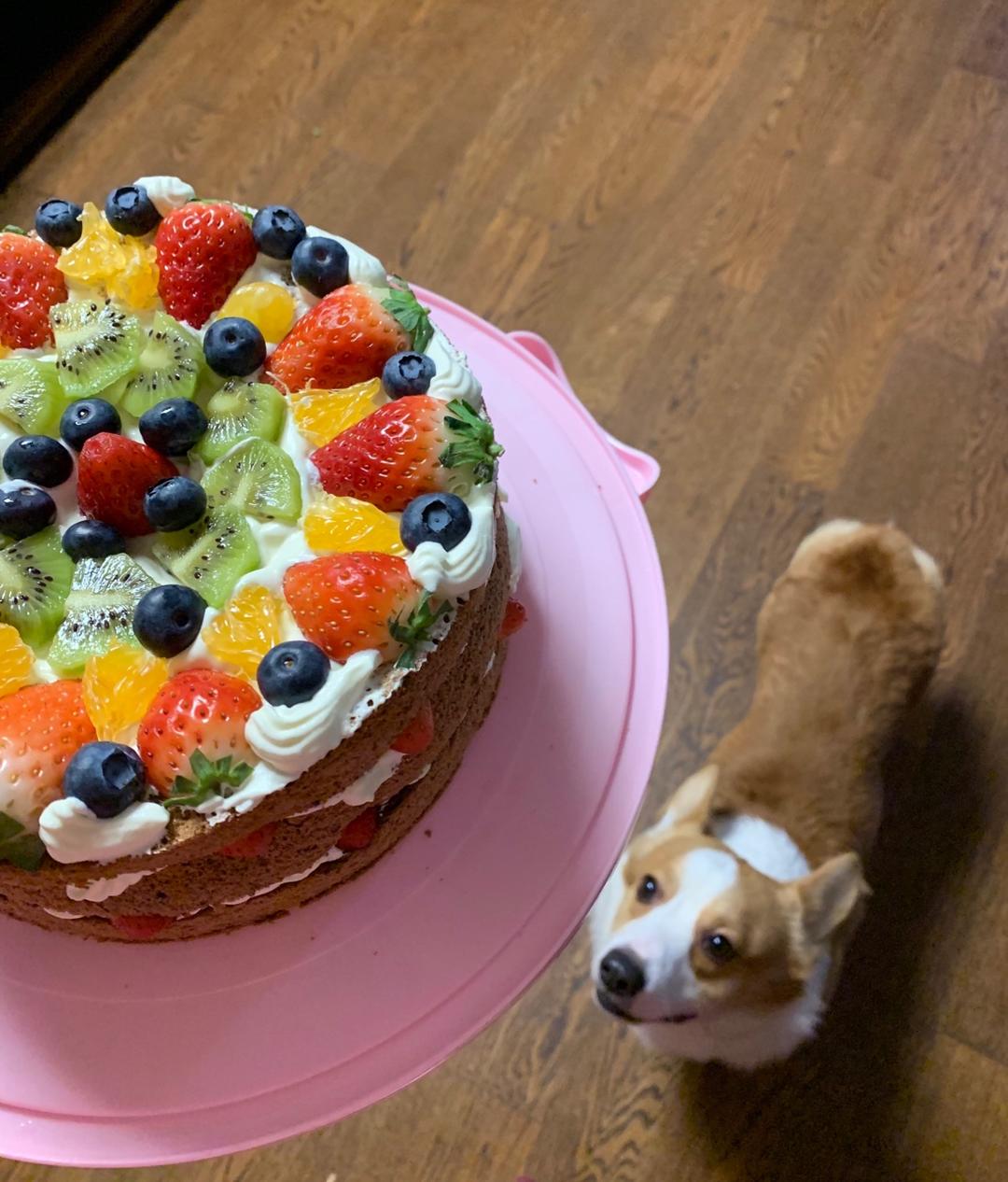 巧克力戚风裸蛋糕