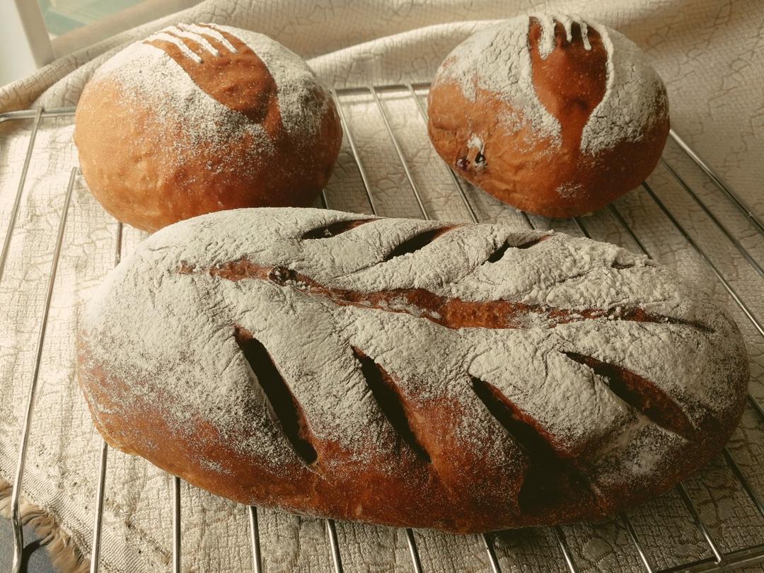 巧克力蔓越莓软欧 Rano Bread