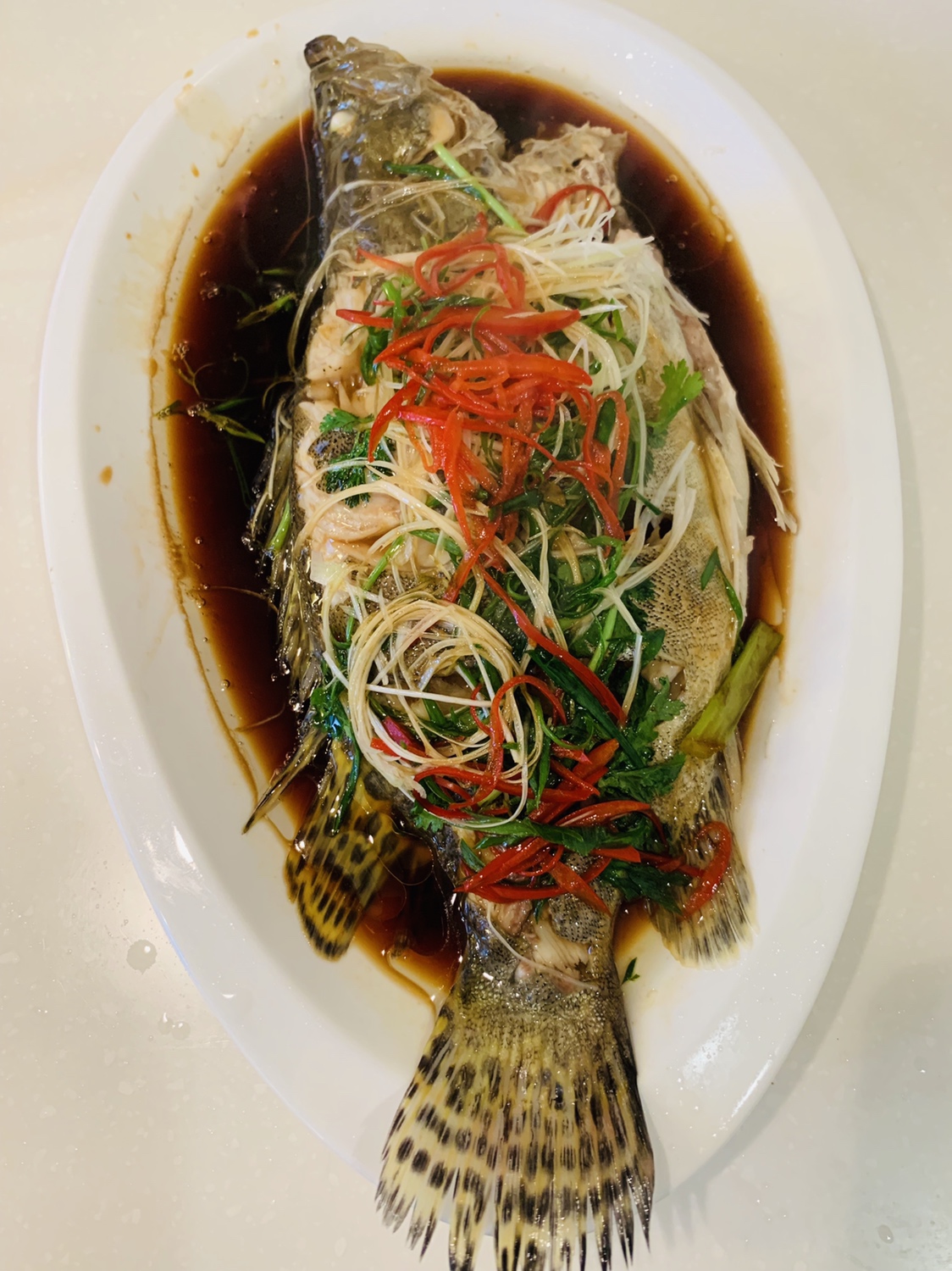 葱油鱖鱼（鲈鱼/鲑鱼）