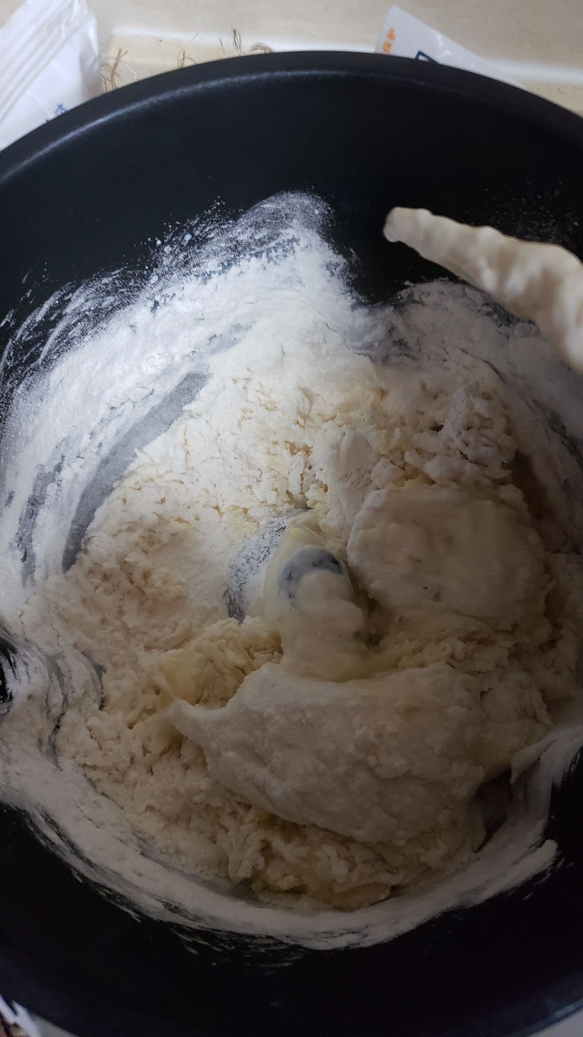 波兰种日豆炼乳面包的做法 步骤3