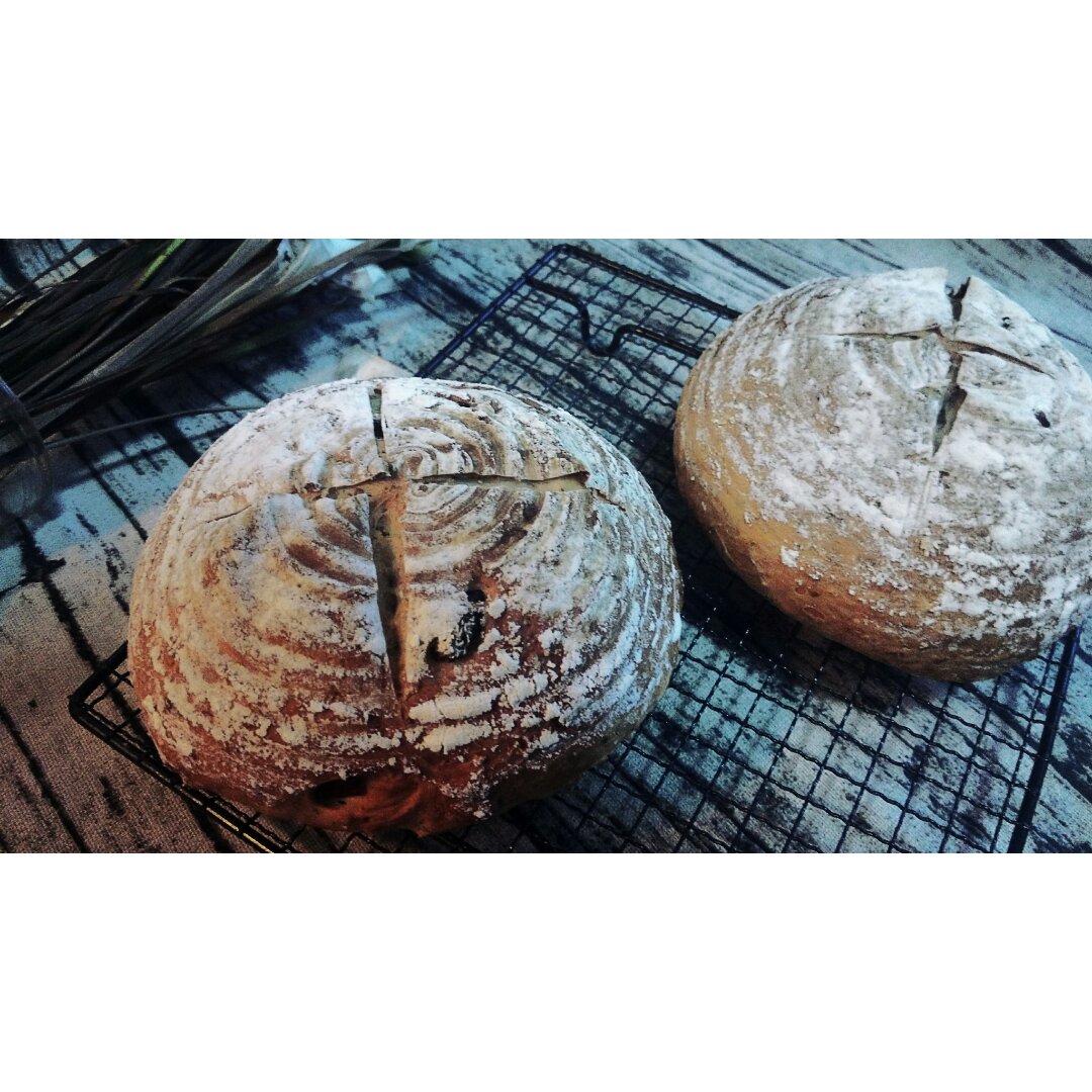 免揉全麦乡村面包【藤田千秋】