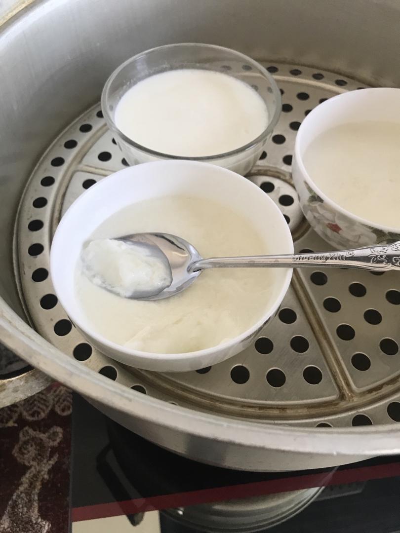顺德双皮奶