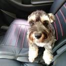 手机用户8357_mpvt