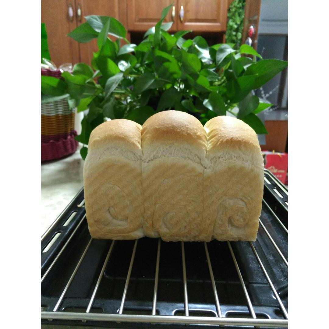全麦吐司～17小时冷藏中种
