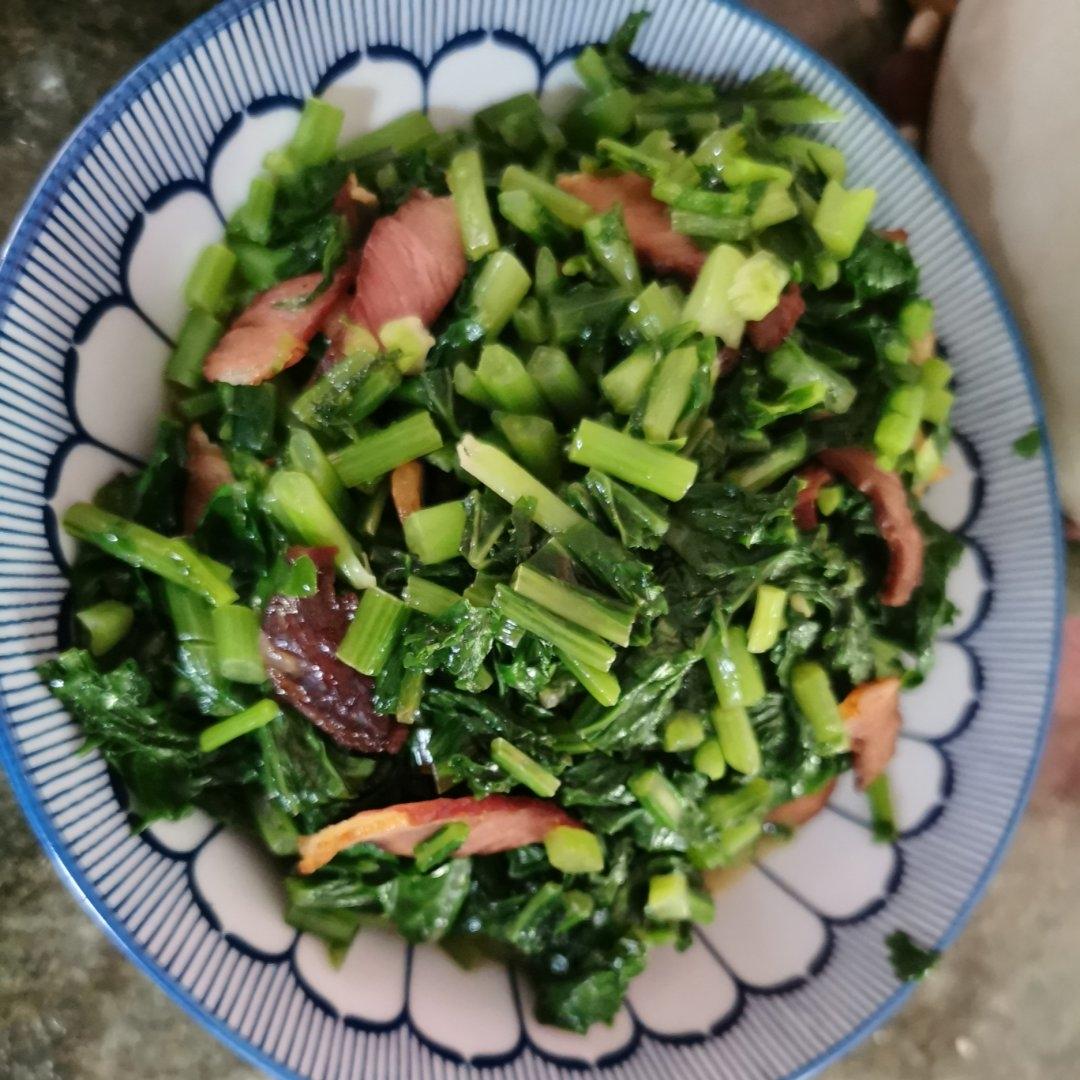 油菜肉末，芥菜肉末（姜蒜蓉芥菜），小松菜肉末，新鲜雪里蕻炒肉末，自制腌菜炒肉末，幸福便当菜