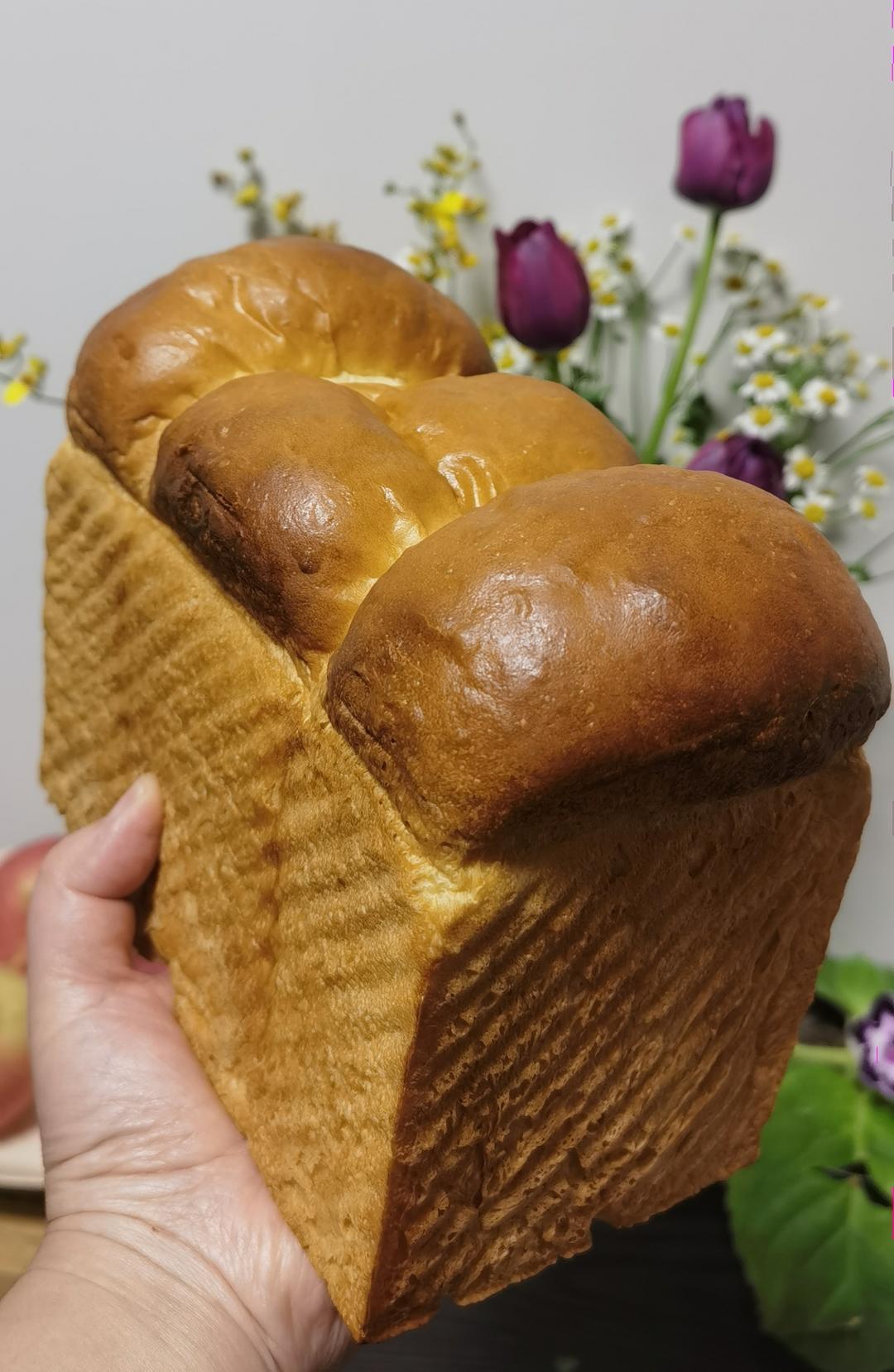 70%中种斑斓椰浆吐司