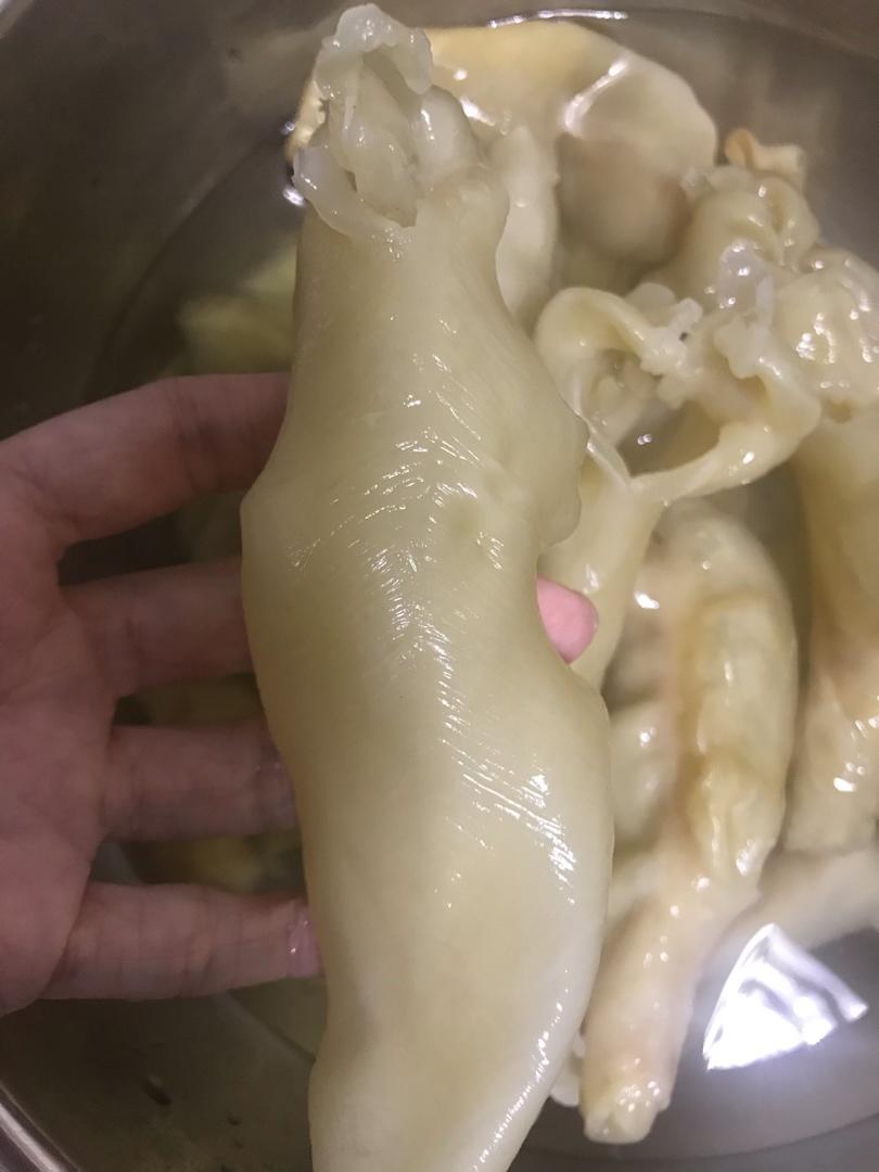 花胶泡发初体验