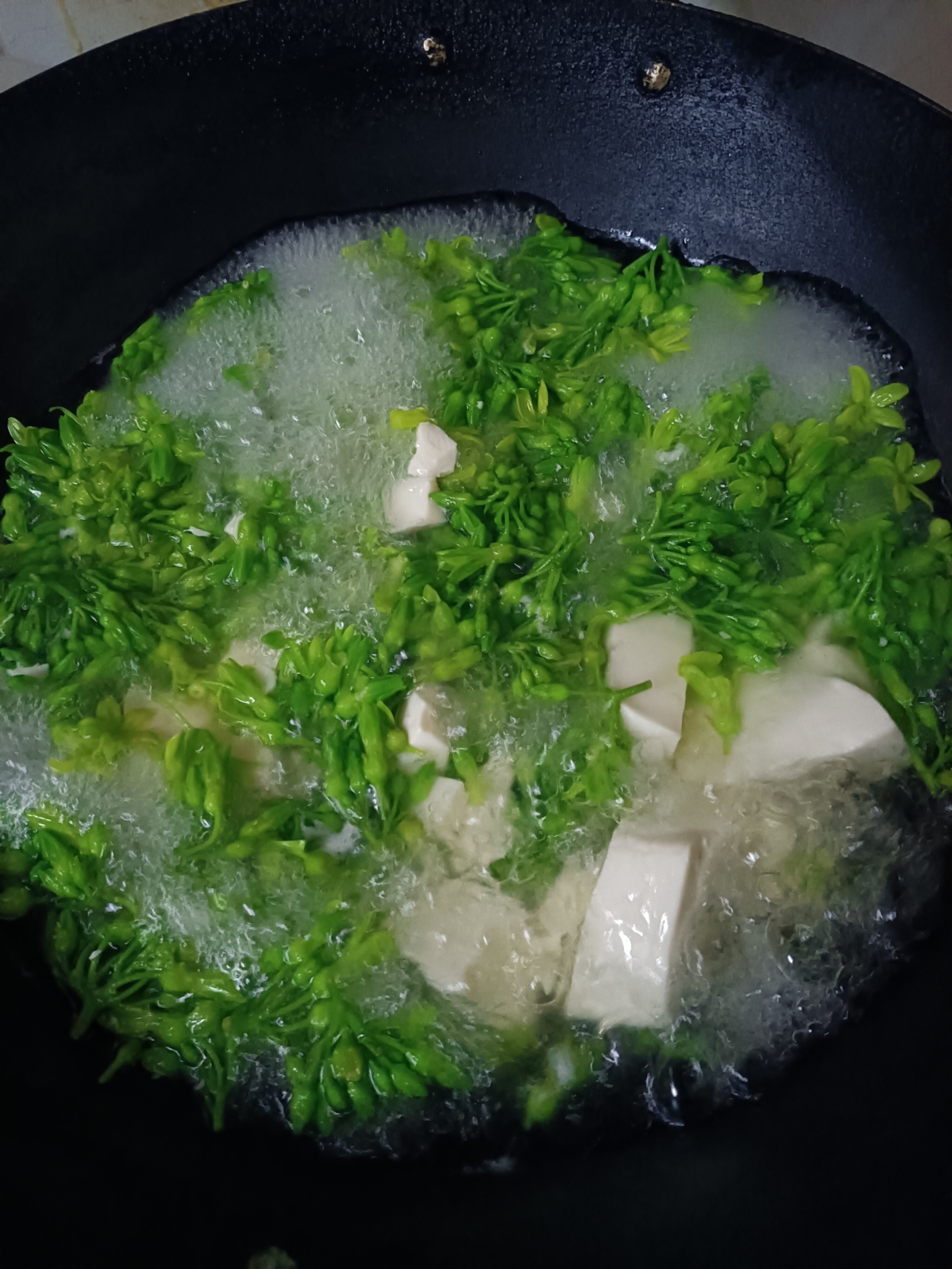 夜香花豆腐汤的做法