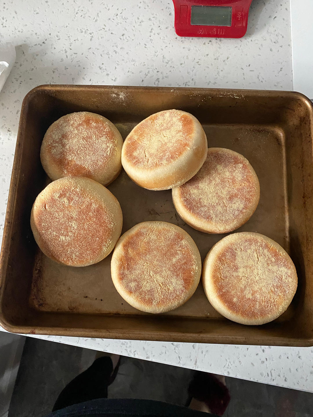 【汤种法】英式麦芬