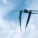 不可辜负的美食_新