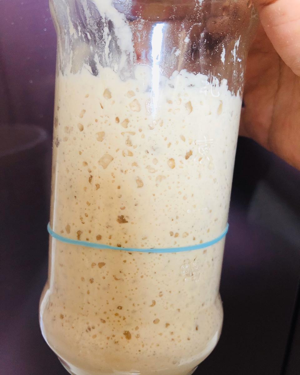 天然酵母宝宝养成记