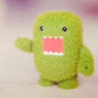 莓阿姨去阿姆斯特丹