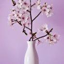 梅梅王梦媛妈妈