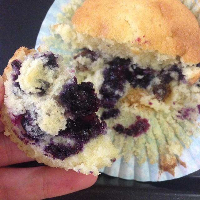 蓝莓马芬blueberrymuffin【最好吃的muffin】--Layla食谱