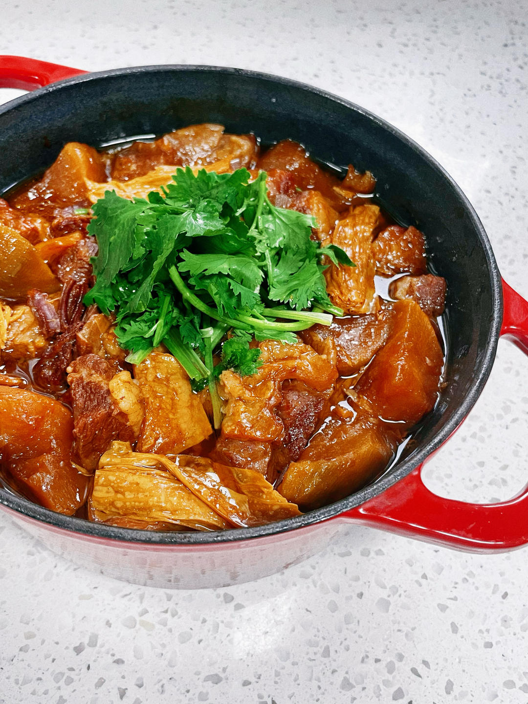 粤式萝卜腐竹牛腩煲（牛杂档味道）